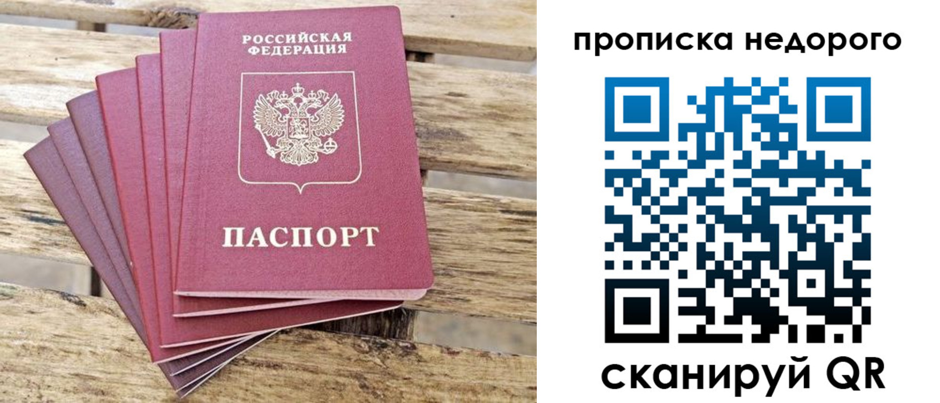 прописка ребенка в Пионерском