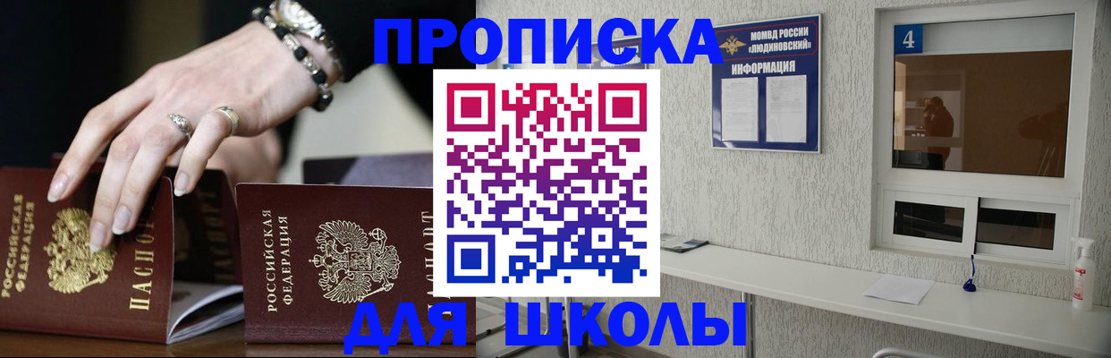 пропишу в квартире в Пионерском